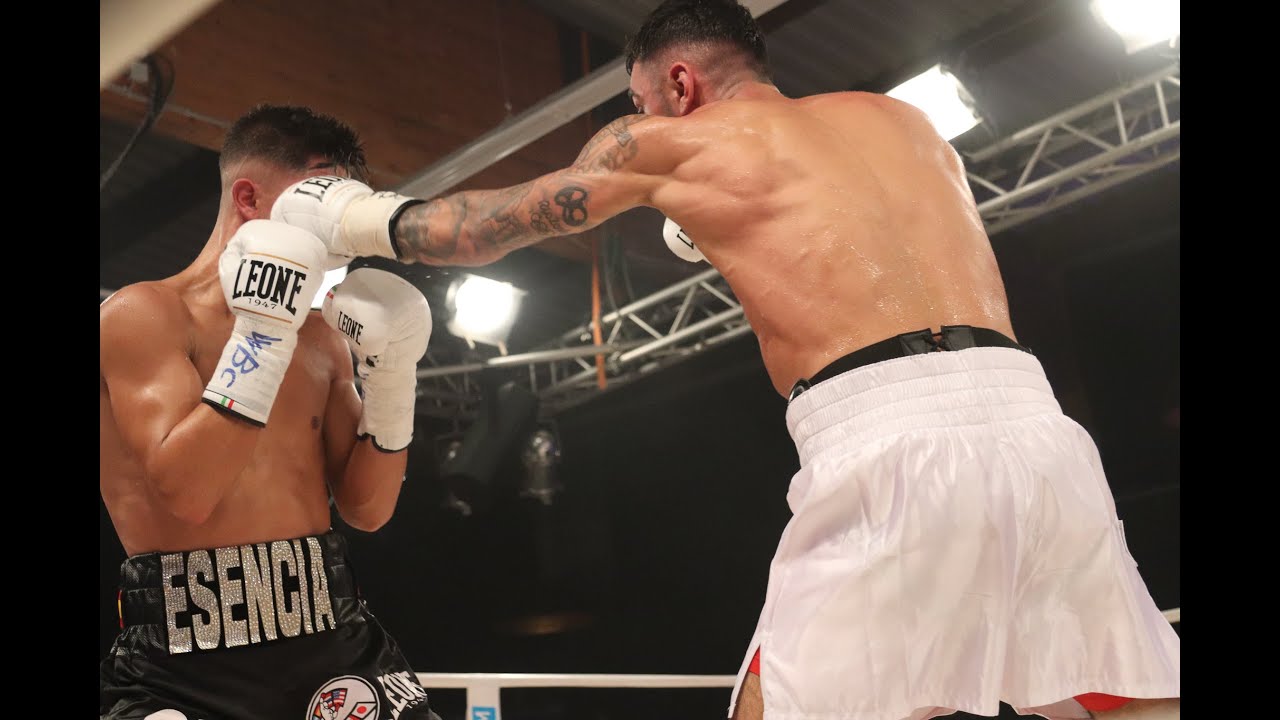WBC бокс глава