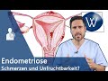 Was ist Endometriose? Das Chamäleon der Gynäkologie - Alles über Ursachen, Symptome & Therapie