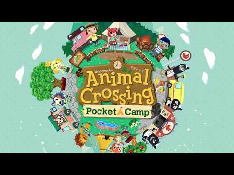 Animal Animal