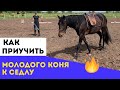 КАК ПРИУЧИТЬ МОЛОДОГО КОНЯ К СЕДЛУ