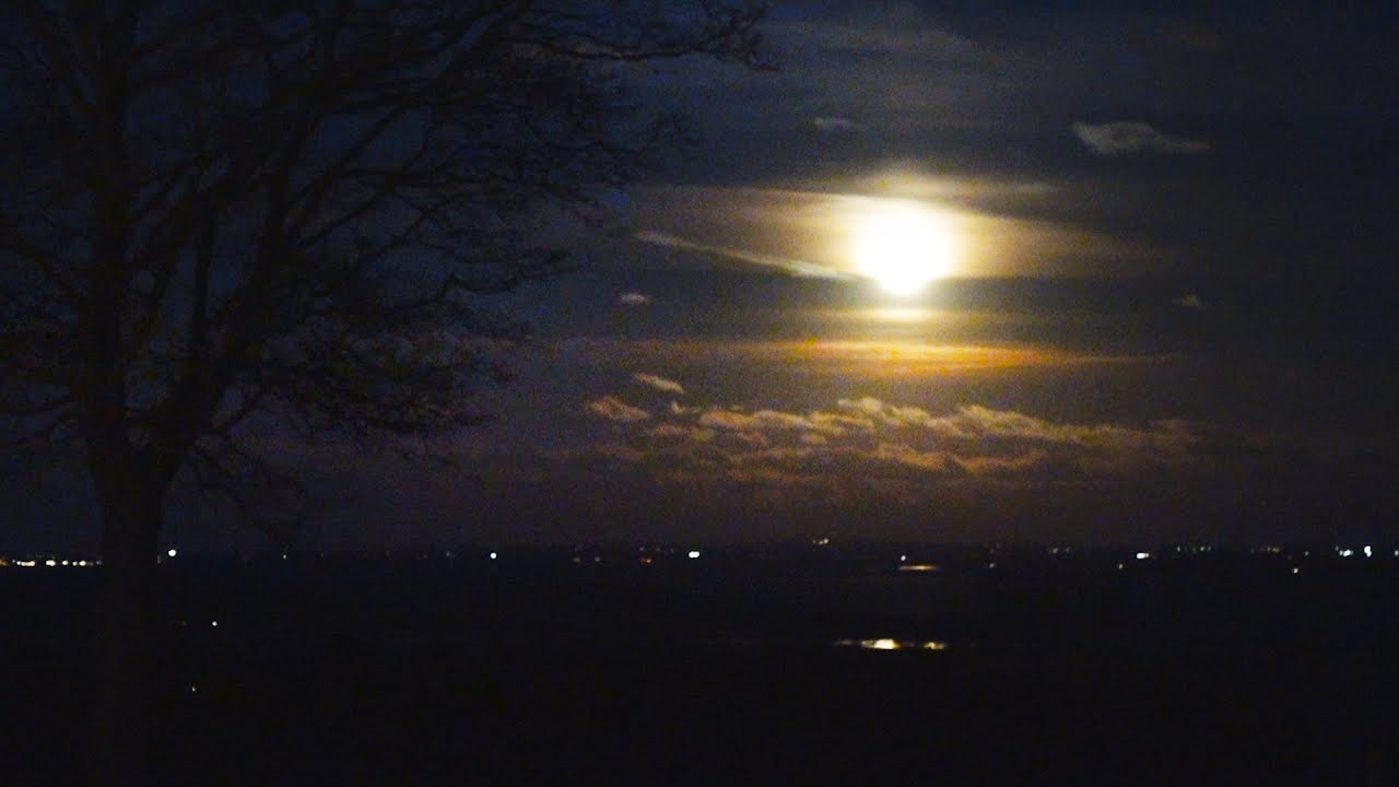 260205 Torsdag (1) Vinterekspeditionen [10:16] (2) Museum Kolding (3) Musik med TRIO