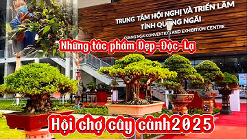 Những Tác Phẩm Bonsai Đẹp Độc Lạ Tại Triển Lãm Sinh Vật Cảnh 2025 Quảng Ngãi
