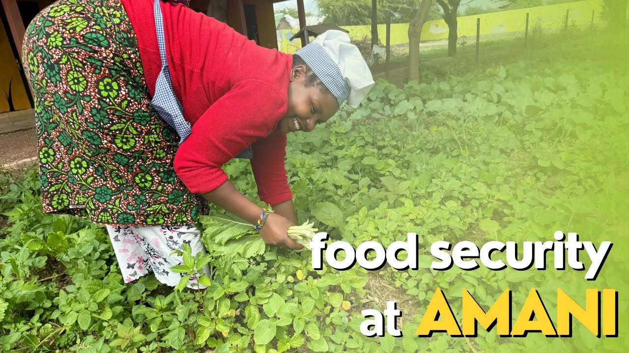 🌱 Ensuring Food Security in Rural Tanzania 🌍 | Amani's Commitment to ...