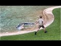 VERY HUNGRY CROC SCRAPPA CHASES ROBERT IRWIN | AUSTRALIA ZOO SUNSHINE COAST 2022