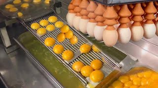Inside Egg Production Factory - Egg Processing Machine Line - Amazing Egg Processing Technology