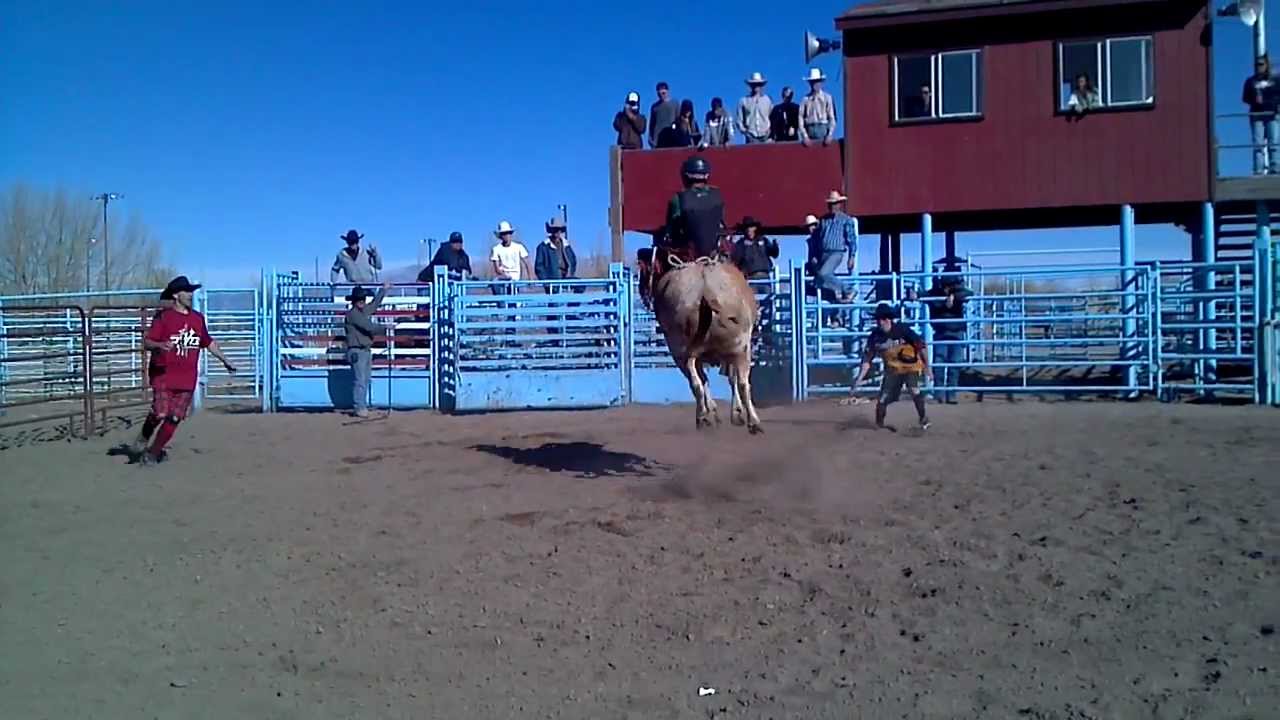 Alamosa, CO Open bull riding - YouTube