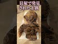 縄文時代 謎めいた土偶の歴史ミステリー 貝塚 宇宙服のようなオーパーツ？ #Shorts 【古代史研究 睡眠用 聞き流し 作業用 九州 教養 雑学 都市伝説 考古学 邪馬台国 神武天皇】