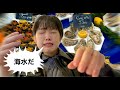 パリの朝市で生カキを食べたらまさかの事態に…【パリ ひとり旅】#vlogs