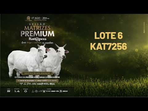 LOTE 06   KAT 7256