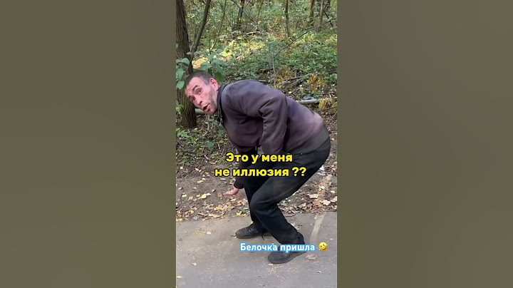 Белочка пришла. Реальные белки 🤣  #парк #белочка #прогулкавлесу
