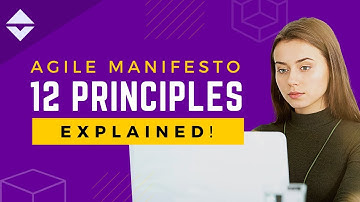 Agile Manifesto: 12 Principles EXPLAINED | Agile Vibes