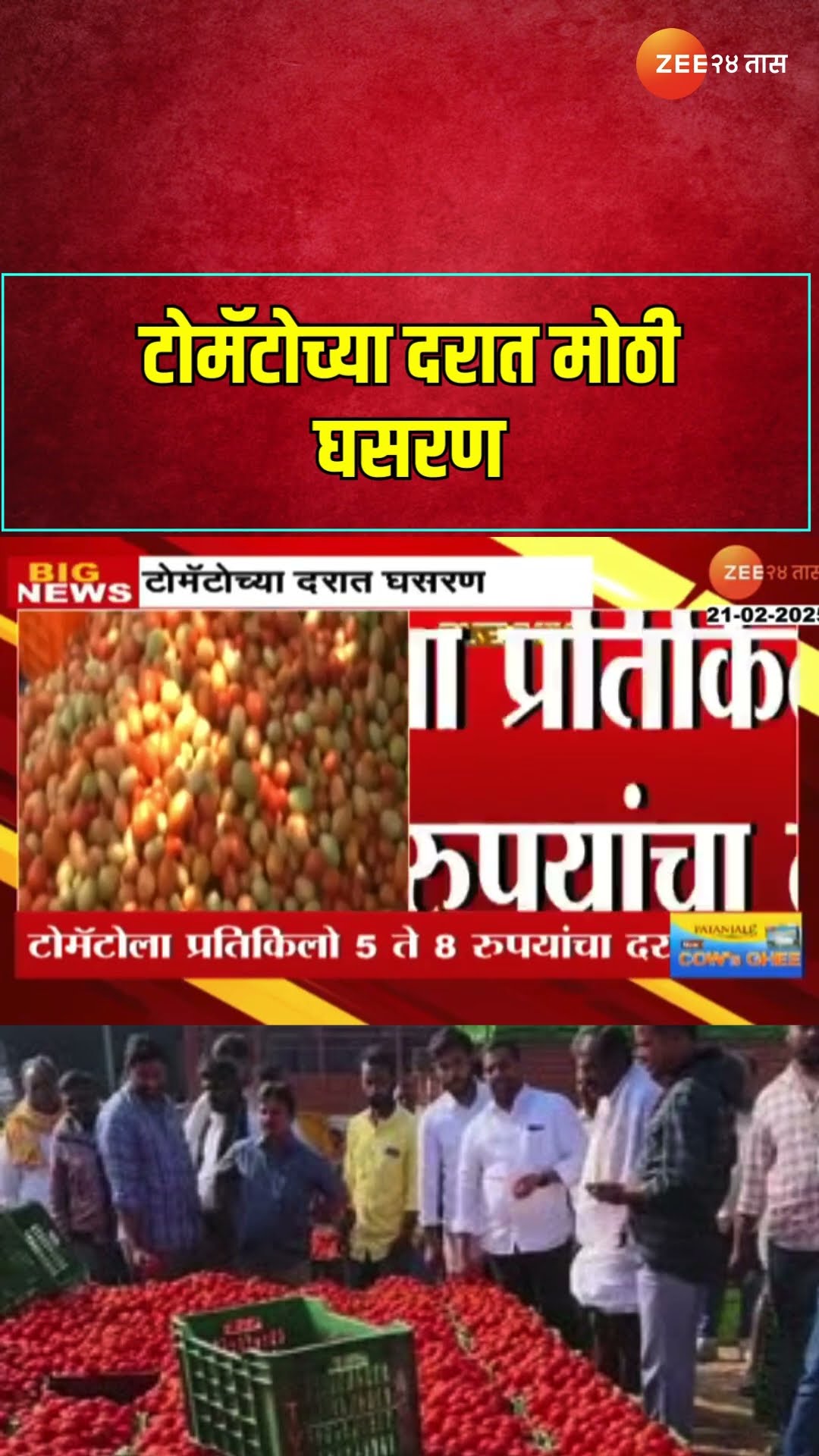 टोमॅटोच्या दरात मोठी घसरण! टोमॅटोला प्रतिकिलो 5 ते 8 रुपयांचा दर