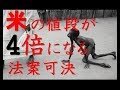 米の値段が4倍になる法案可決してました。いつの間にか