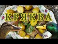 Kряква в маринаде- kак вкусно и просто приготовить дикую утку