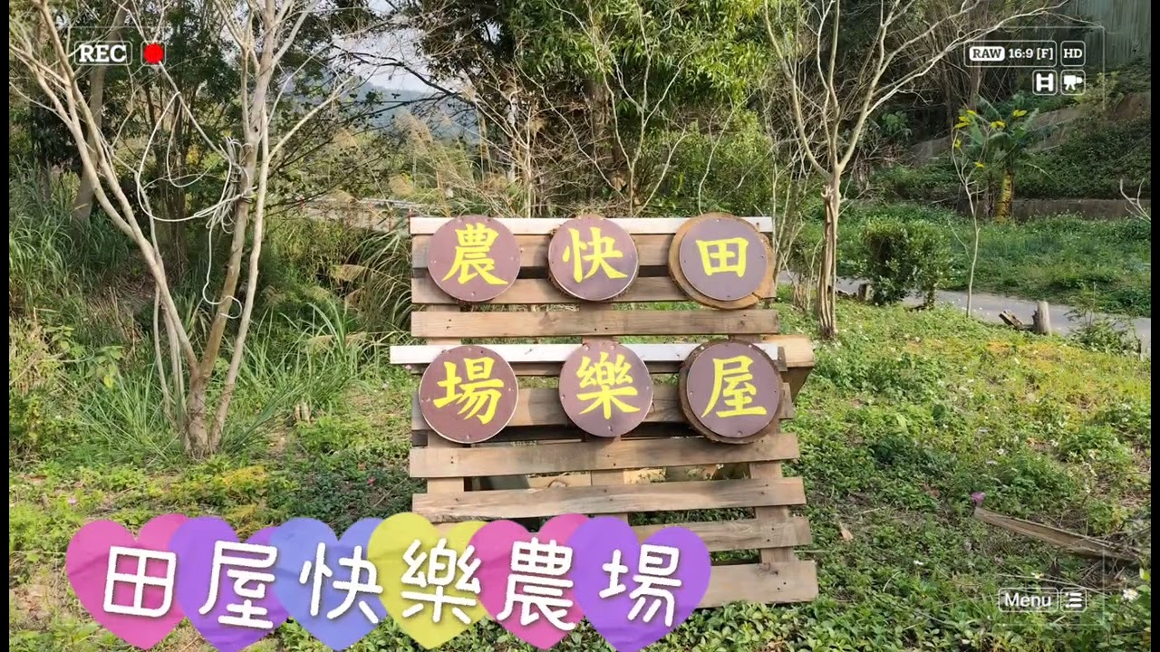 飛鳳山修心宮打逗敘活動