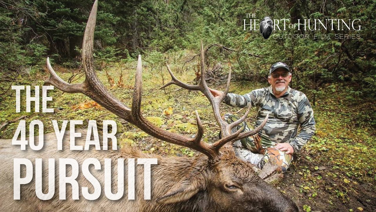 Can You Hunt Elk With a Crossbow in Colorado 