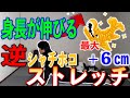 身長を伸ばす方法ストレッチ　全身バージョン【2022年版】