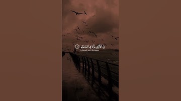 اكتب شيء تؤجر عليه ❤️😴| تلاوة هادئة  وجميلة  جدا_قران كريم_القارئ عبد الرحمن مسعد