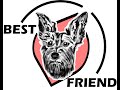 SignMaster Pro DISEÑO O LOGO🐕 🐩🐕 🐩LOGO DESIGN VECTOR🐕 🐩