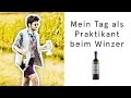 Ein Tag als Winzer | Michaels Praktikum #4