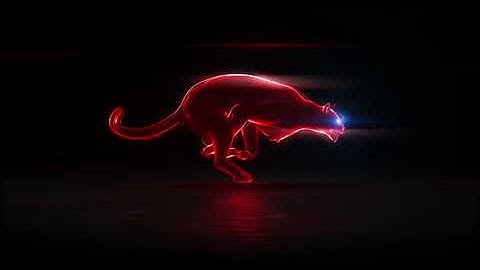 ID# 40 Panther Glitch Logo Animation / Logo Reveal Animation / After Effect Animation intro