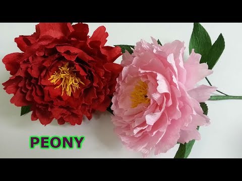 Hướng dẫn làm hoa mẫu đơn giấy nhún | Hoa giấy nhún | DIY how to make peony crepe paper flower