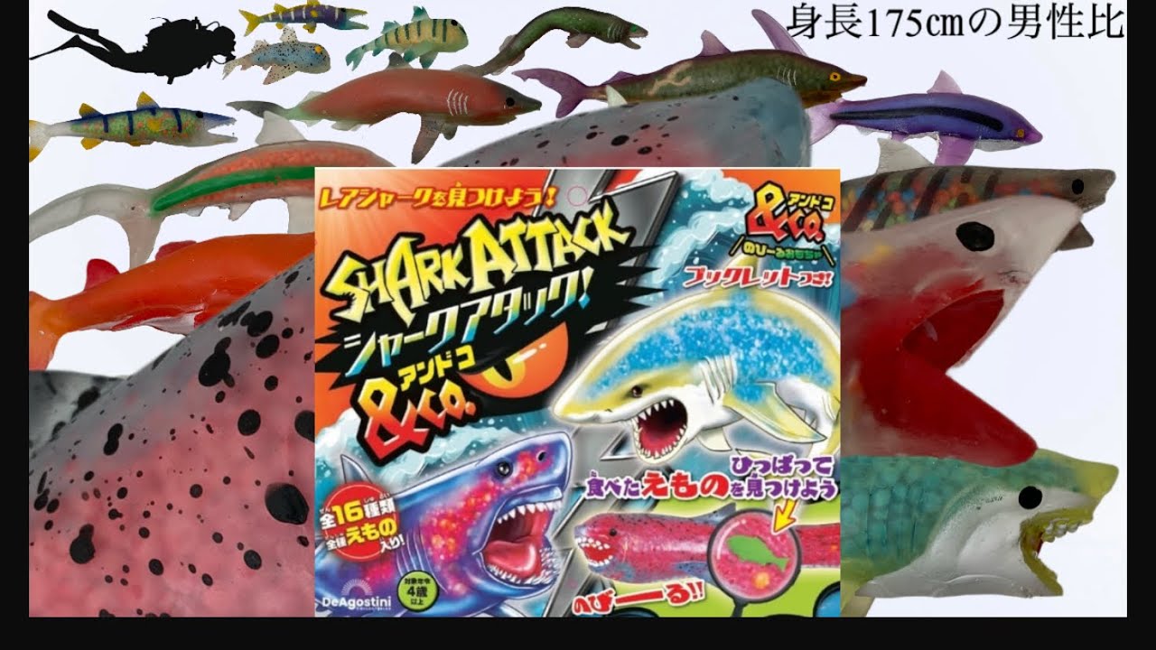 （未開封新品）SHARK ATTACK & Co. コンプリートセット 未開封新品）SHARK ATTACK & Co. コンプリートセット 未開封 シャーク