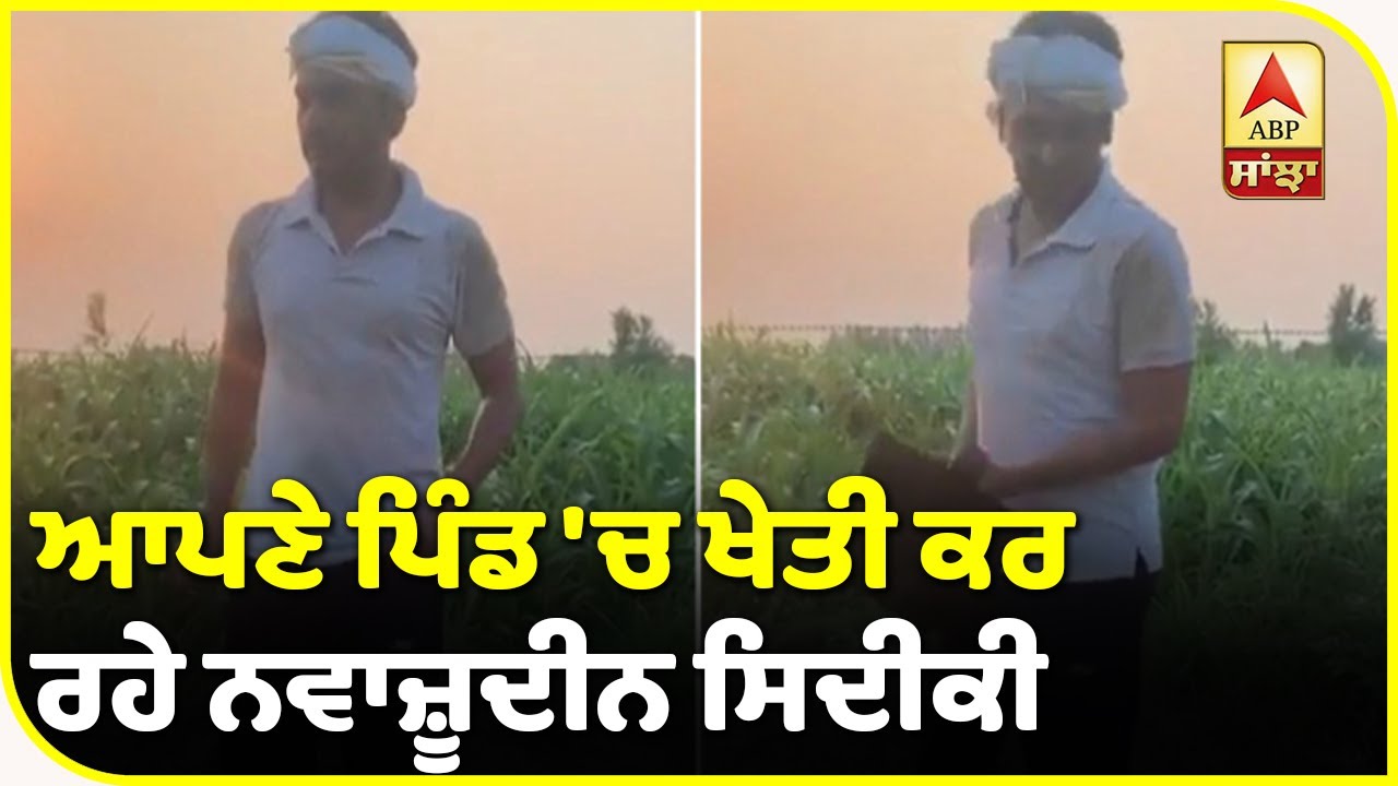 Nawazuddin Siddiqui doing farming at his village | Uttar Pradesh | Bollywood actor | ABP Sanjha