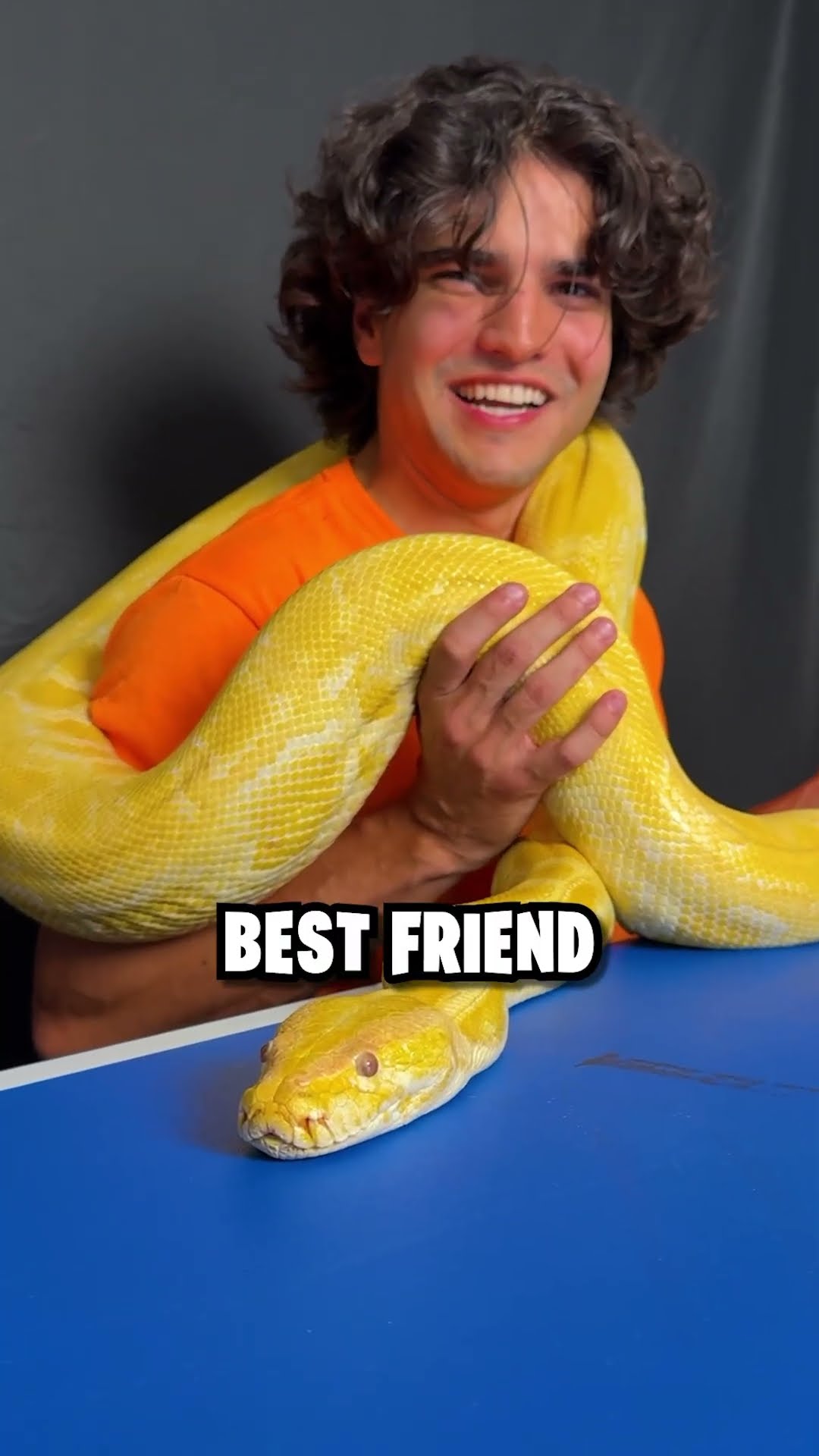 THE ULTIMATE FRIENDSHIP TEST!! ? #shorts