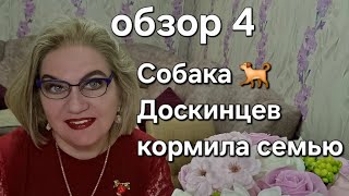 видео: Собака 🐕 ДОСКИНЦЕВ кормила семью❗️ картинка: Собака 🐕 ДОСКИНЦЕВ кормила семью❗️