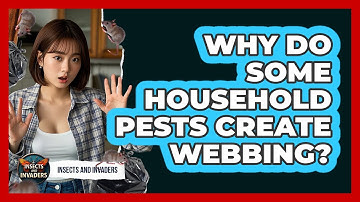 Why Do Some Household Pests Create Webbing? - Insects and Invaders