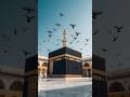 হে আল্লাহ তুমি আমাদের হেদায়েত দান করুন🤲😭#islamicstasus#viral #shortfeet#viralvideo#islamic#short