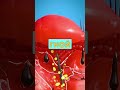 Вытаскиваем ЗАНОЗУ Под МИКРОСКОПОМ что будет Shorts факты заноза вытащить интересное