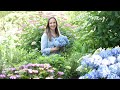 Planting a Hydrangea Garden for Blooms All Season Long! // Northlawn Flower Farms