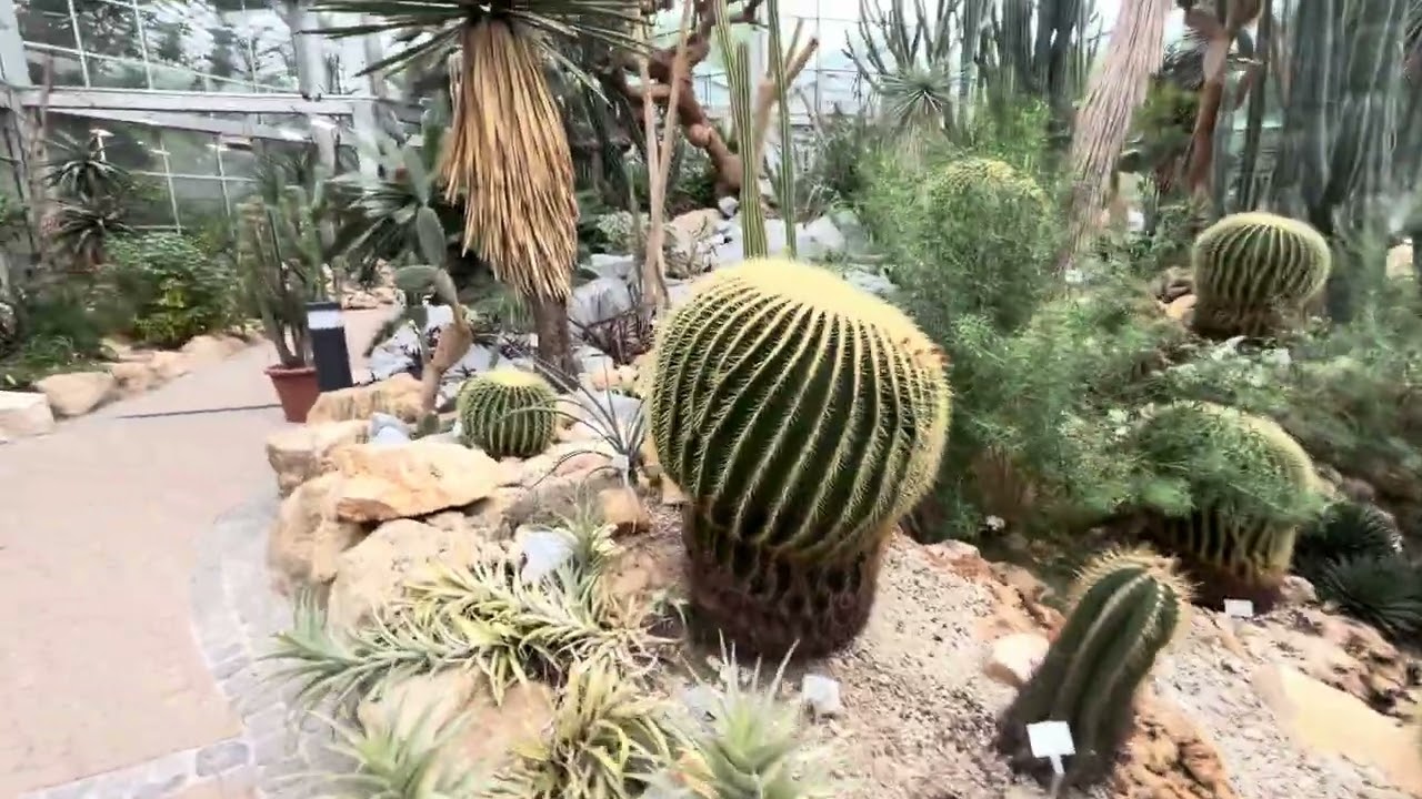 Palmengarten Frankfurt #garden #park #flowers #tour #parkour #frankfurt #germany #europe