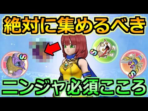 【ドラクエウォーク】ニンジャを活躍させるために集めておきたいこころ！確実な戦力強化に！