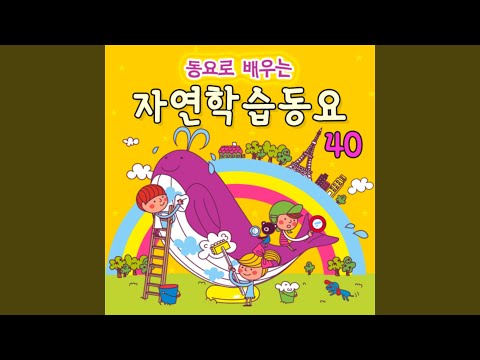 홀라리홀라리