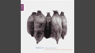 Sonata for Viola da Gamba in G Minor, BWV 1029: III. Allegro (Arr. for Baroque Ensemble)