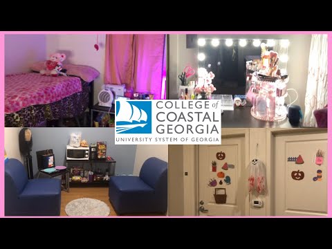 CCGA (College of Coastal Georgia) Dorm Room Tour (2020-2021) | Vanity Mirror Edition ?✨