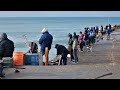 TE MUESTRO LO QUE SE PESCA EN DOS PUNTOS CLÁSICOS DE LA CIUDAD FELIZ