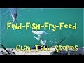 Find Fish Fry Feed - Catch & Cook
