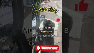 Смешной Анекдот😀Две подружки. #Смешной Анекдот #Юмор #смех #Shorts  #Приколы #Шутки