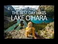 Lake O’Hara Hiking Guide (2023): 7 BEST DAY HIKES in Yoho National Park!