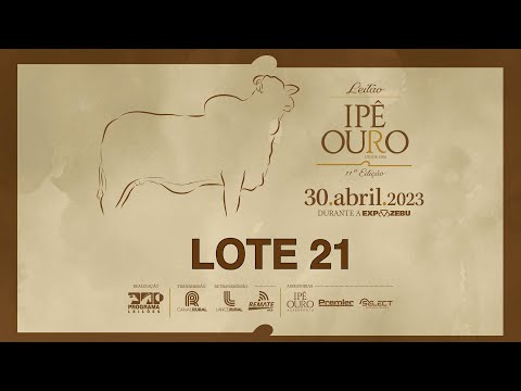 LOTE 21 STRO 6055