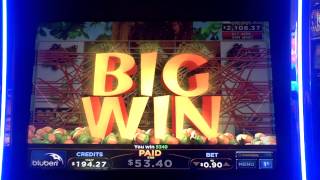 Nuts For Nuts Slot Machine Line Hit screenshot 4
