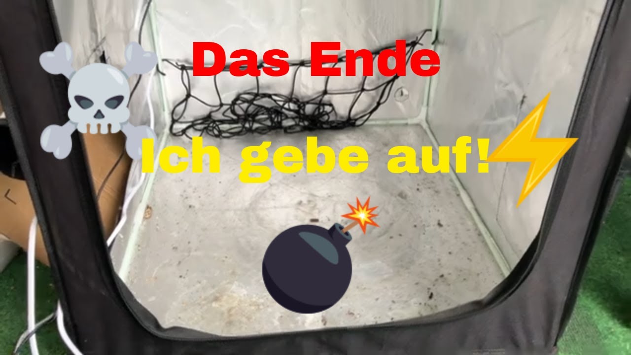 Ich gebe auf! Ende im Cannabis Mini Grow Zelt!
