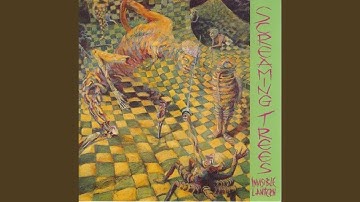 Shadow Song