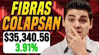 Las Fibras COLAPSAN ¿Oportunidad de INVERTIR? | Portafolio de Fibras #25