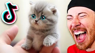 CUTEST Animals On Tiktok (Try Not To Laugh)