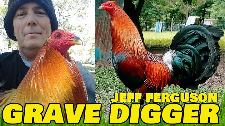 Nice Black Birds Grave Digger Brownred Jeff Fergus...